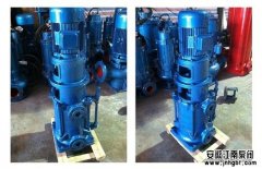 立式多級離心泵試車及其驗(yàn)收步驟